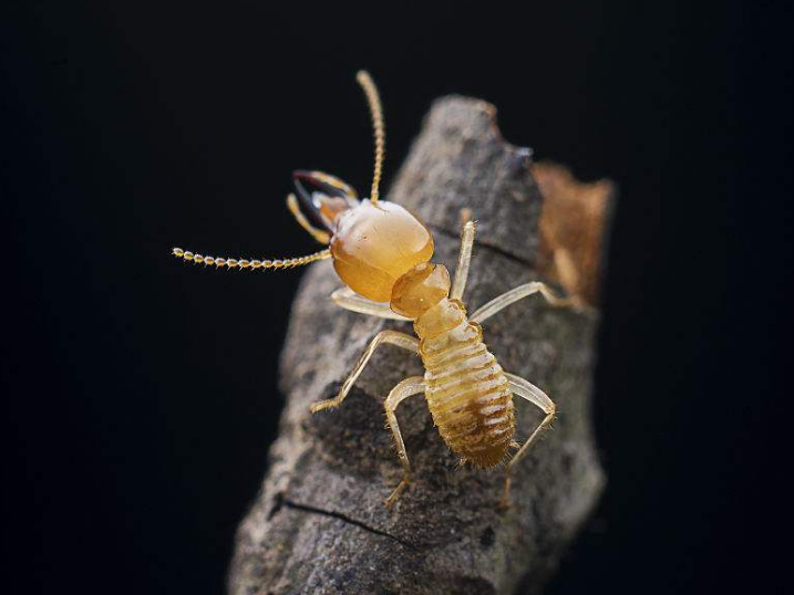 20180609143420_52418.png 20180609143420_52418.png